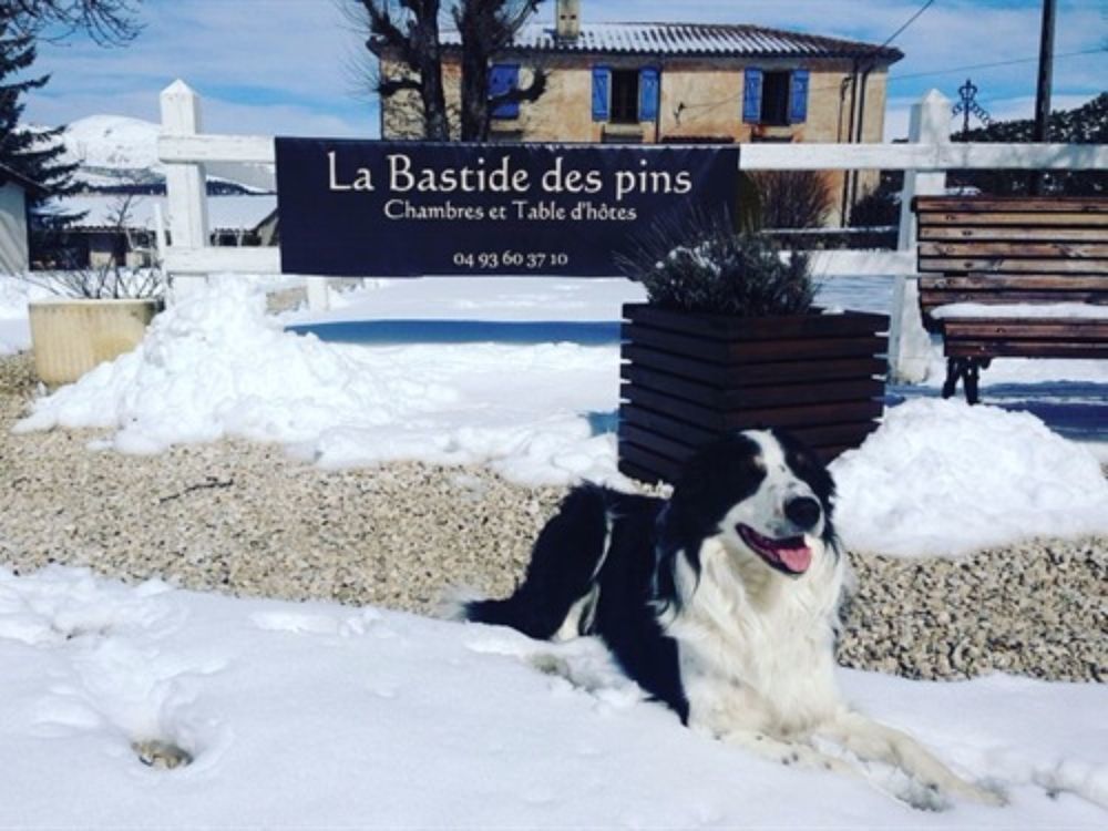 La Bastide Des Pins Hotel Exterior photo